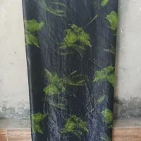 حریر شاناز ساتن امریکا