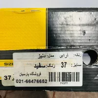 کتانی|کیف، کفش، کمربند|رشت, معلم|دیوار