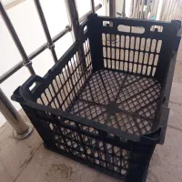 سبد میوه ، نو