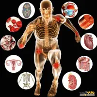 استخدام مربی بدنساز خانم