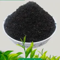 فروش چای با بهترین کیفیت به صورت کلی و جزئی