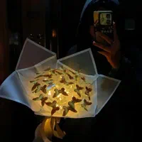 دسته گل پروانه ای و باکس هدیه ولنتاین و تولد