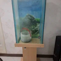 اکواریوم