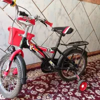 دوچرخه در حد آک