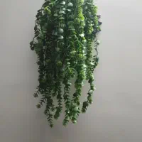 گل آویز