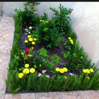 سلام تمامیه کارهای باغبانی انجام میشود