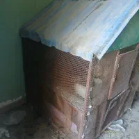 قفس ملاشیه خیابان ۱۶