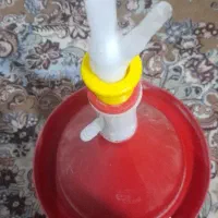 دانخوری وابخوری بزرگ حراج شد