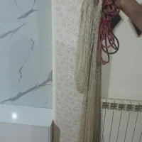 تور ماهیگیری