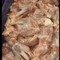 غذای سگ و گ به اسکلت مرغ پر گوشت