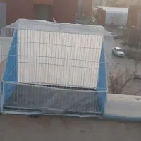 قفس پرنده  متوسط۴۵×۳۳×۴۰