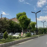 مغازه اجاره ، ۴۰ متر ، پاخور عالی ، بر اصلی