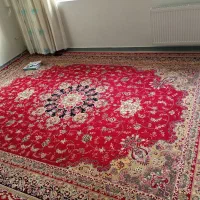 فرش تمیز