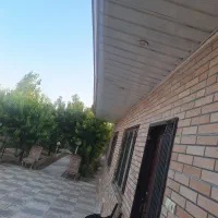 باغچه جیتو