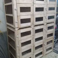 چوبی گنجه  قفس چوبی