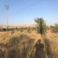 فروش زمین مشاع 500متری