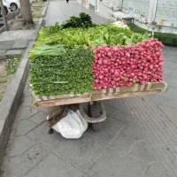 سبزی پاک شده دسته گلالی