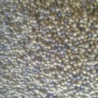 ماش بومی درجه یک