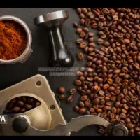 استخدام باریستا خانم،بار گرم