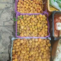 قیصی زردالو محلی برای خشک کردن ولواشک
