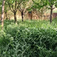 فروش-چند-دستگاه-خونه-در-روستاهای-سلطانیه