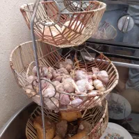 جاپیازی گهواره ای