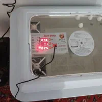 دستگاه جوجه کشی