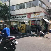 فروشنده پروتئینی   ( خانم)