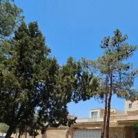 ویلایی لوکیشن عالی،فلسطین