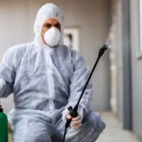 سم پاشیوطعمه گذاری (خدماتسمپاشیقشم)