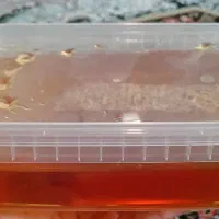 عسل خرم اباد تازه وباکیفیت