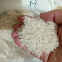 برنج هاشمی با  کالا برگ