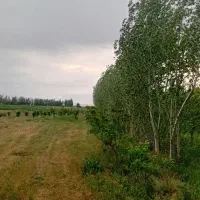 باغ زیبا
