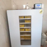 دستگاه جوجه کشی فاخته ۱۰۰۸ تایی