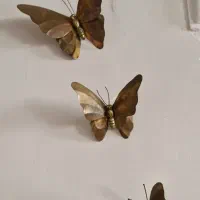 دیوار کوب پروانه مسی