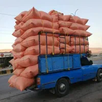 یونجه|خدمات باغبانی و درختکاری|چرام, |دیوار