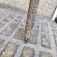 دیلَم اسباب‌بازی