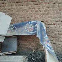 سایبان
