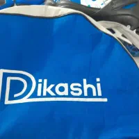 کفش اسکیت