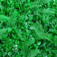 گرین وال دیواری