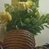 گل  زیبا