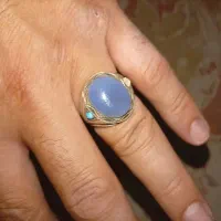 به دلیل مخارج بیمارستان اجباری فروخته میشود