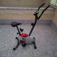دوچرخه ثابت پاندا