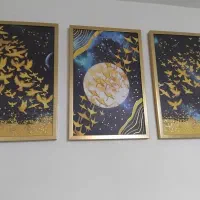 3 عددی طرح پرنده تابلو دکوراتیو
