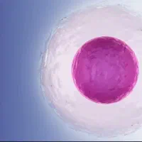 کلینیک مشاوره ناباروری آنیسا