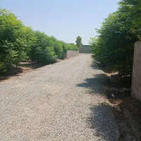 باغچه-500متری