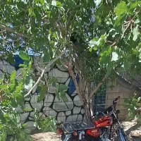 موتور ۲۰۰ مدل ۹۵