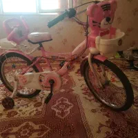 دوچرخه بیست