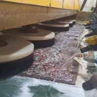 قالیشویی تمام اتوماتیک باران