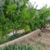 ویلایی کهن اباد